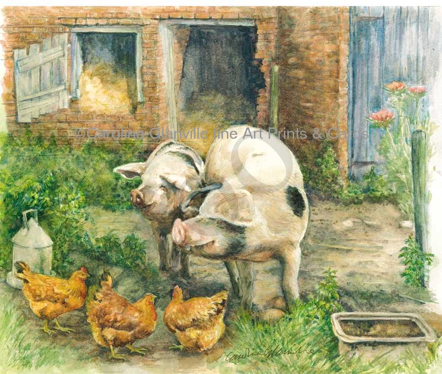 Gloucester old spot pigs, painting by Caroline Glanville